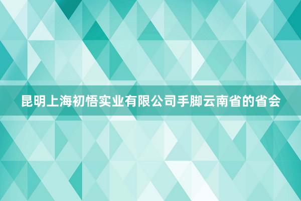 昆明上海初悟实业有限公司手脚云南省的省会