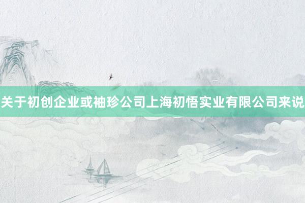 关于初创企业或袖珍公司上海初悟实业有限公司来说